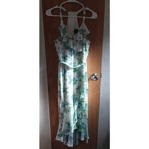 Disney Princess Floral Ruffle Dress Resort Cottage Garden Romantic Medium